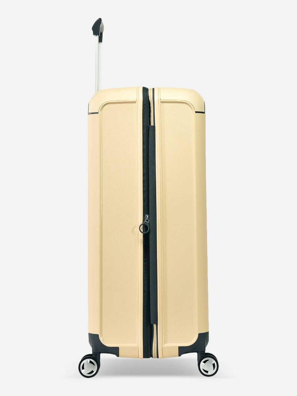 Aegis - Set (Expandable) / Yellow - Image 4