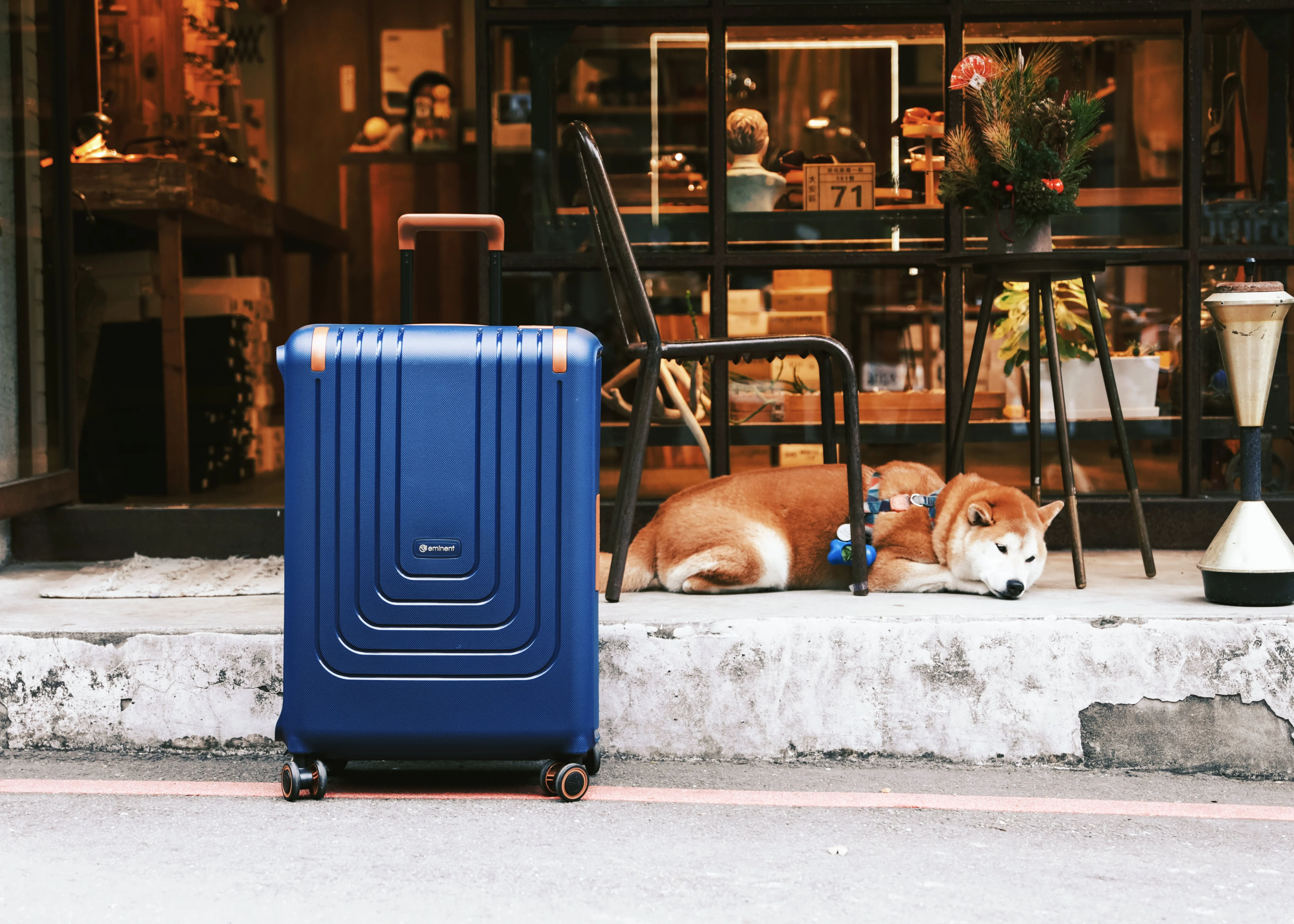Vertica - Set / Blue - Image 6